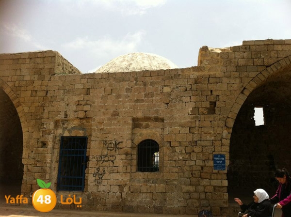 majdal3asqlan519 (14).JPG